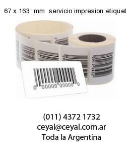 67 x 163  mm  servicio impresion etiquetas ilustracion