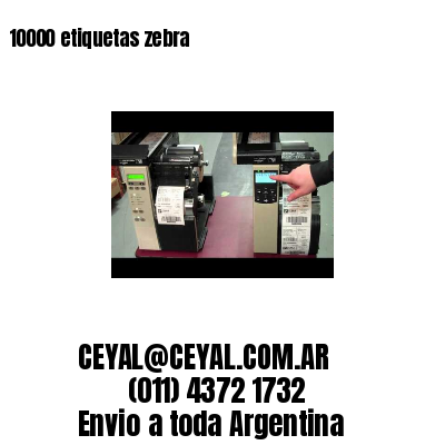 10000 etiquetas zebra