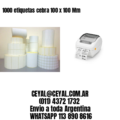 1000 etiquetas cebra 100 x 100 Mm