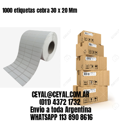 1000 etiquetas cebra 30 x 20 Mm