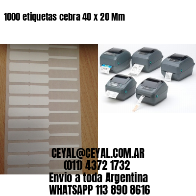 1000 etiquetas cebra 40 x 20 Mm