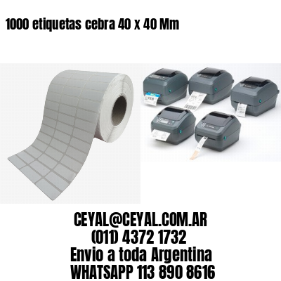 1000 etiquetas cebra 40 x 40 Mm