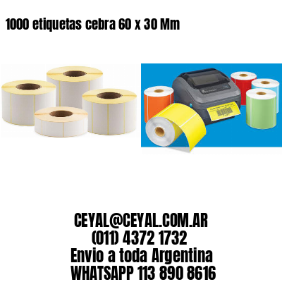 1000 etiquetas cebra 60 x 30 Mm