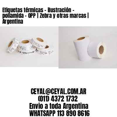 Etiquetas térmicas – ilustración – poliamida – OPP | Zebra y otras marcas | Argentina