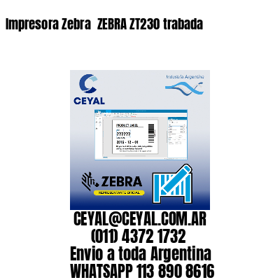 Impresora Zebra  ZEBRA ZT230 trabada