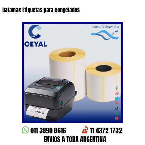 Datamax Etiquetas para congelados