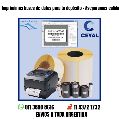 Imprimimos bases de datos para tu depósito – Aseguramos calidad de impresión