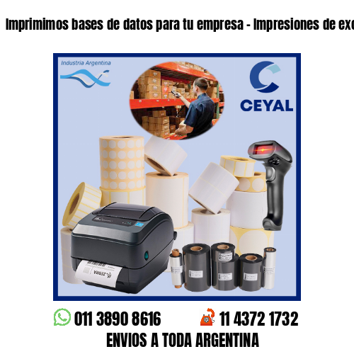 Imprimimos bases de datos para tu empresa – Impresiones de excelencia!