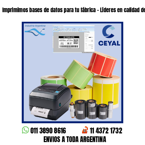 Imprimimos bases de datos para tu fábrica – Líderes en calidad de impresión!