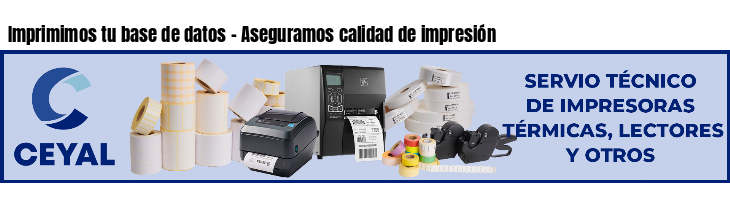 Imprimimos tu base de datos - Aseguramos calidad de impresión