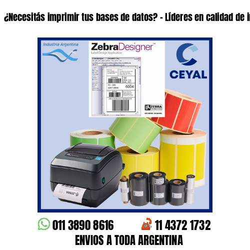 ¿Necesitás imprimir tus bases de datos? – Líderes en calidad de impresión!