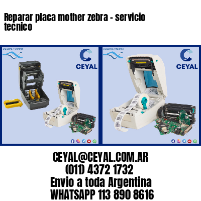 Reparar placa mother zebra – servicio tecnico