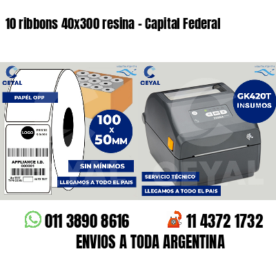 10 ribbons 40x300 resina - Capital Federal