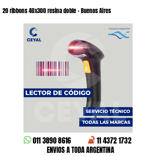 20 ribbons 40x300 resina doble - Buenos Aires