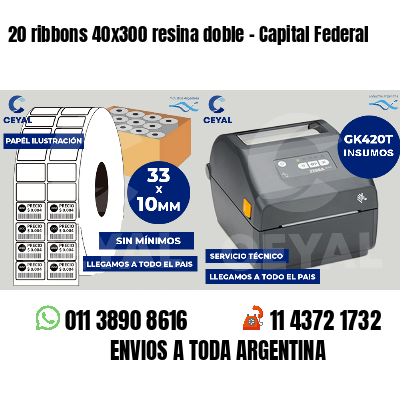 20 ribbons 40x300 resina doble - Capital Federal