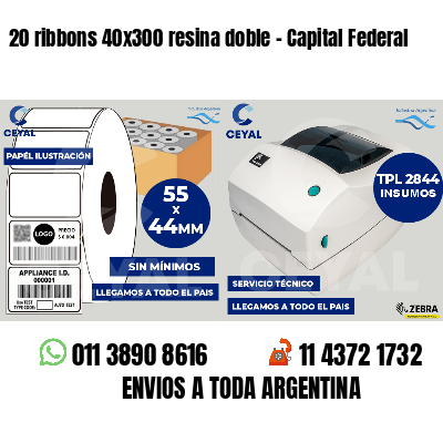 20 ribbons 40x300 resina doble - Capital Federal