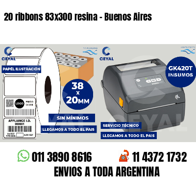 20 ribbons 83x300 resina - Buenos Aires