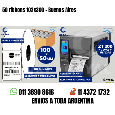 50 ribbons 102x300 - Buenos Aires