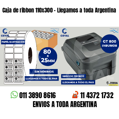 Caja de ribbon 110x300 - Llegamos a toda Argentina