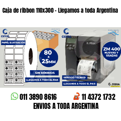 Caja de ribbon 110x300 - Llegamos a toda Argentina