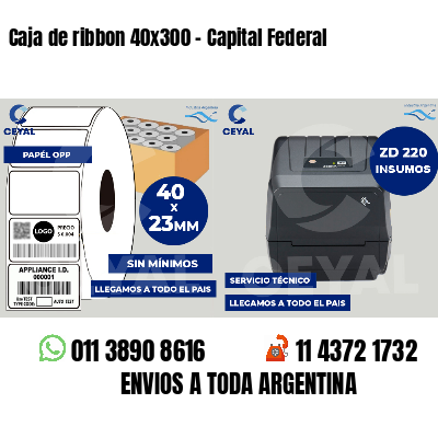 Caja de ribbon 40x300 - Capital Federal
