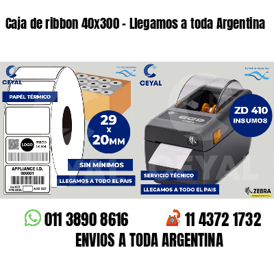 Caja de ribbon 40x300 - Llegamos a toda Argentina