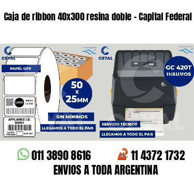 Caja de ribbon 40x300 resina doble - Capital Federal