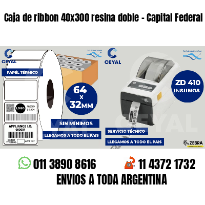 Caja de ribbon 40x300 resina doble - Capital Federal