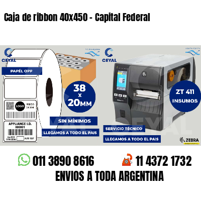 Caja de ribbon 40x450 - Capital Federal