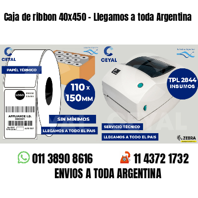 Caja de ribbon 40x450 - Llegamos a toda Argentina