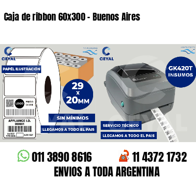 Caja de ribbon 60x300 - Buenos Aires