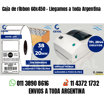 Caja de ribbon 60x450 - Llegamos a toda Argentina