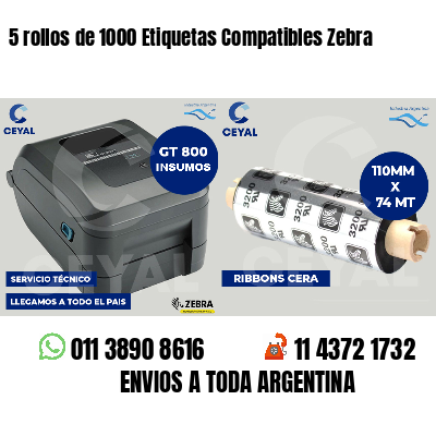 5 rollos de 1000 Etiquetas Compatibles Zebra 