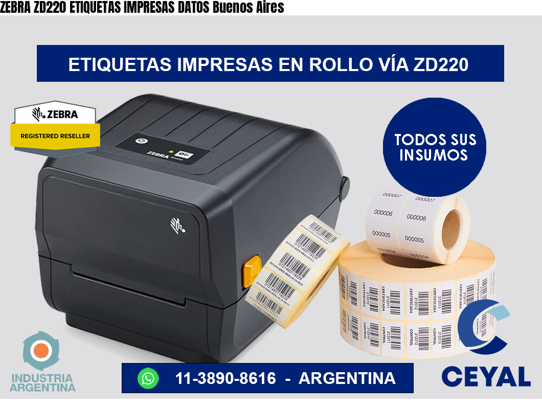 ZEBRA ZD220 ETIQUETAS IMPRESAS DATOS Buenos Aires