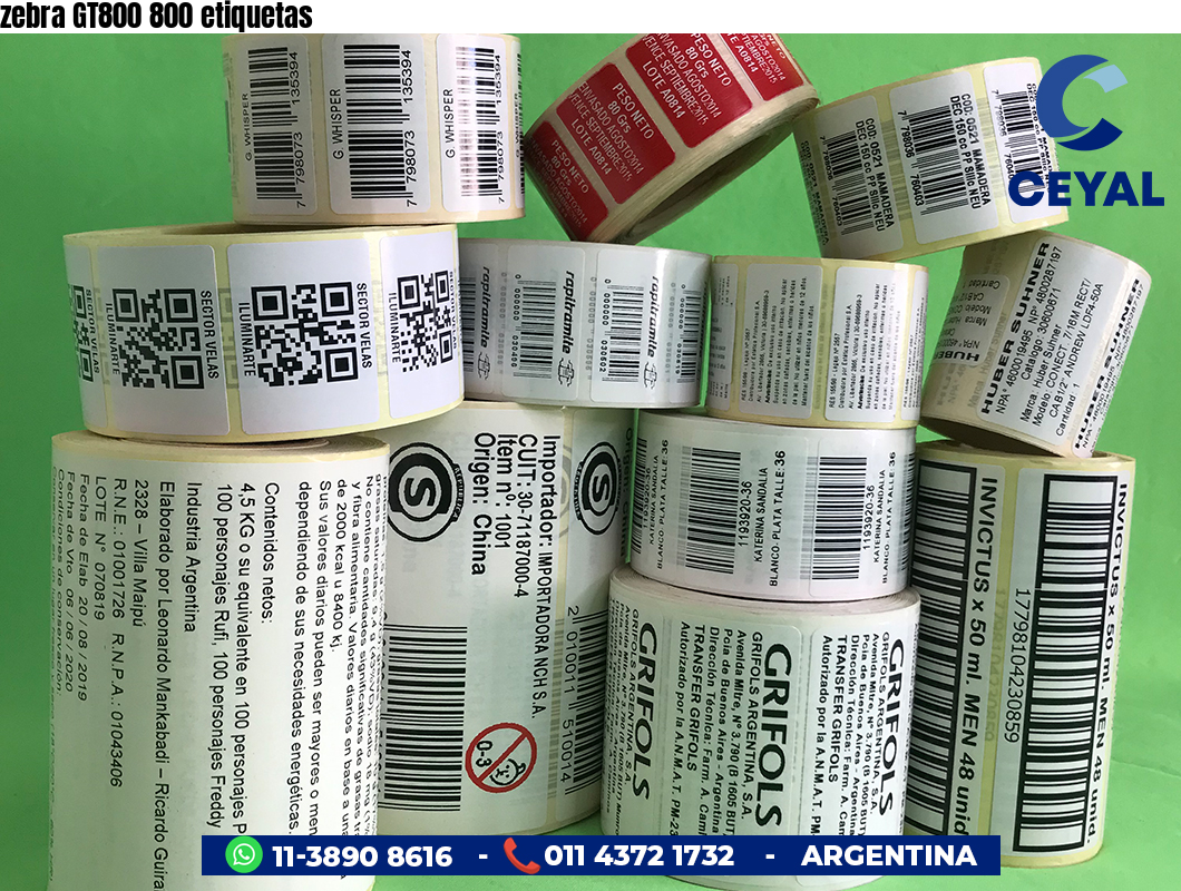 zebra GT800 800 etiquetas