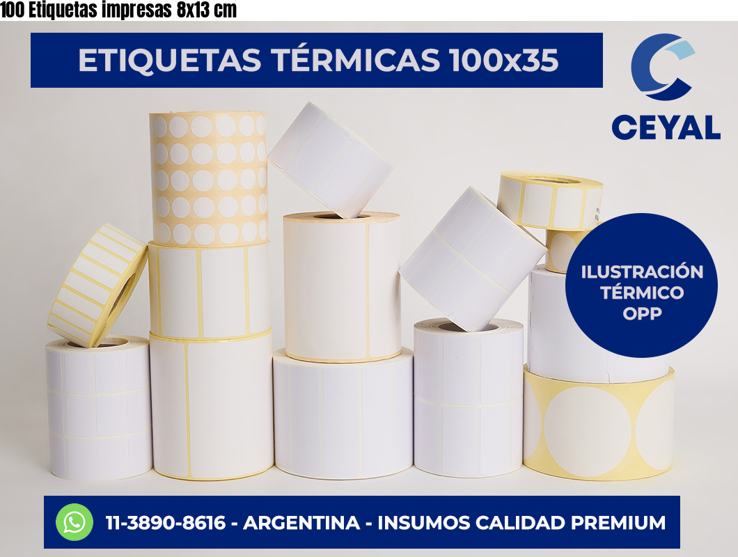100 Etiquetas impresas 8×13 cm