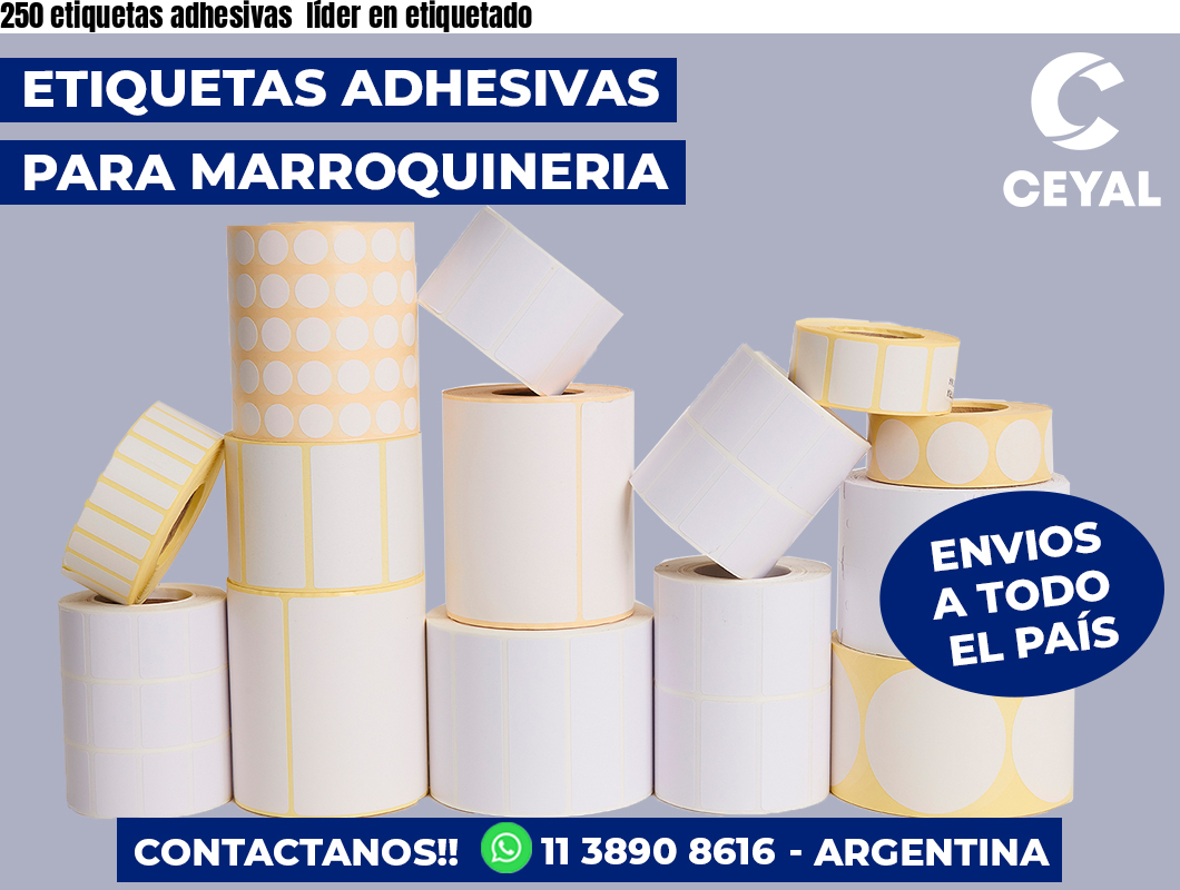 250 etiquetas adhesivas  líder en etiquetado