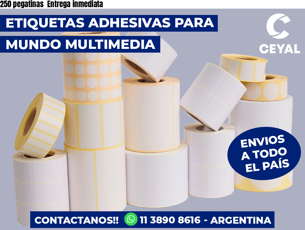 250 pegatinas  Entrega inmediata