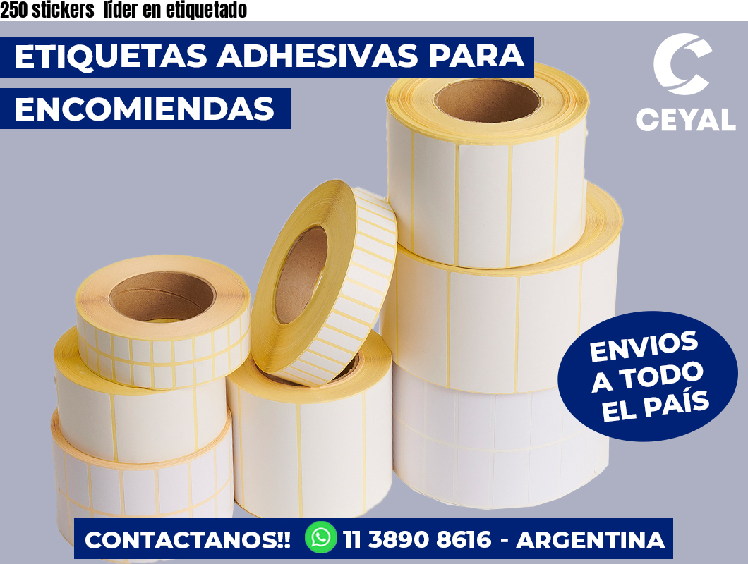 250 stickers  líder en etiquetado