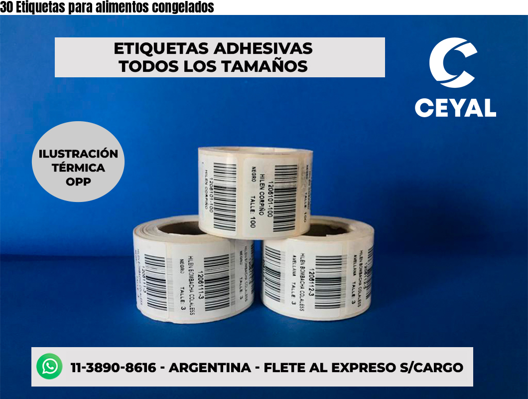 30 Etiquetas para alimentos congelados