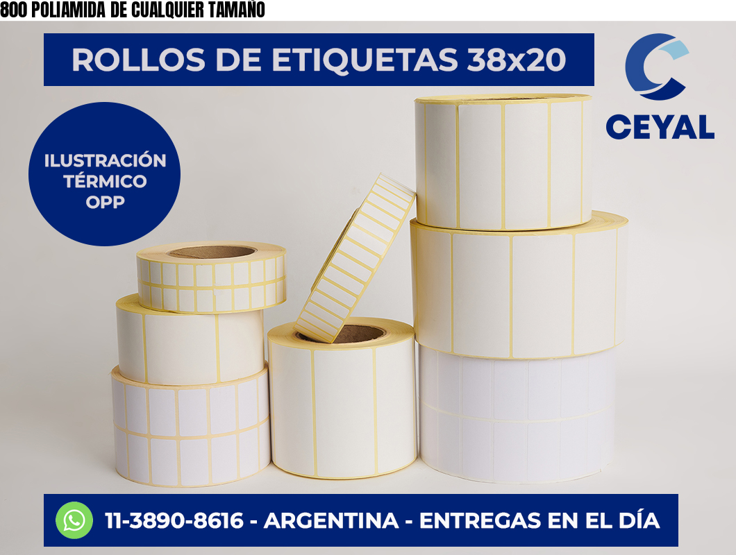 800 POLIAMIDA DE CUALQUIER TAMAÑO