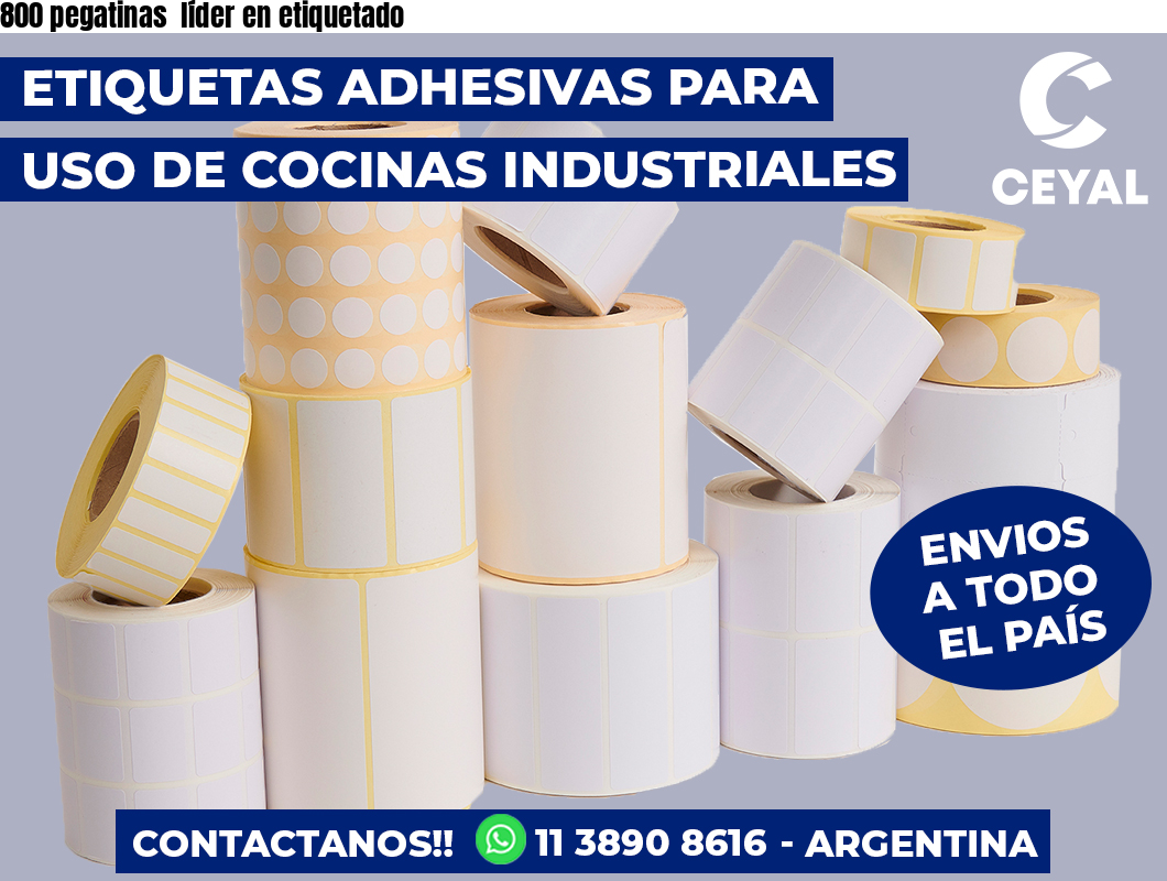 800 pegatinas líder en etiquetado