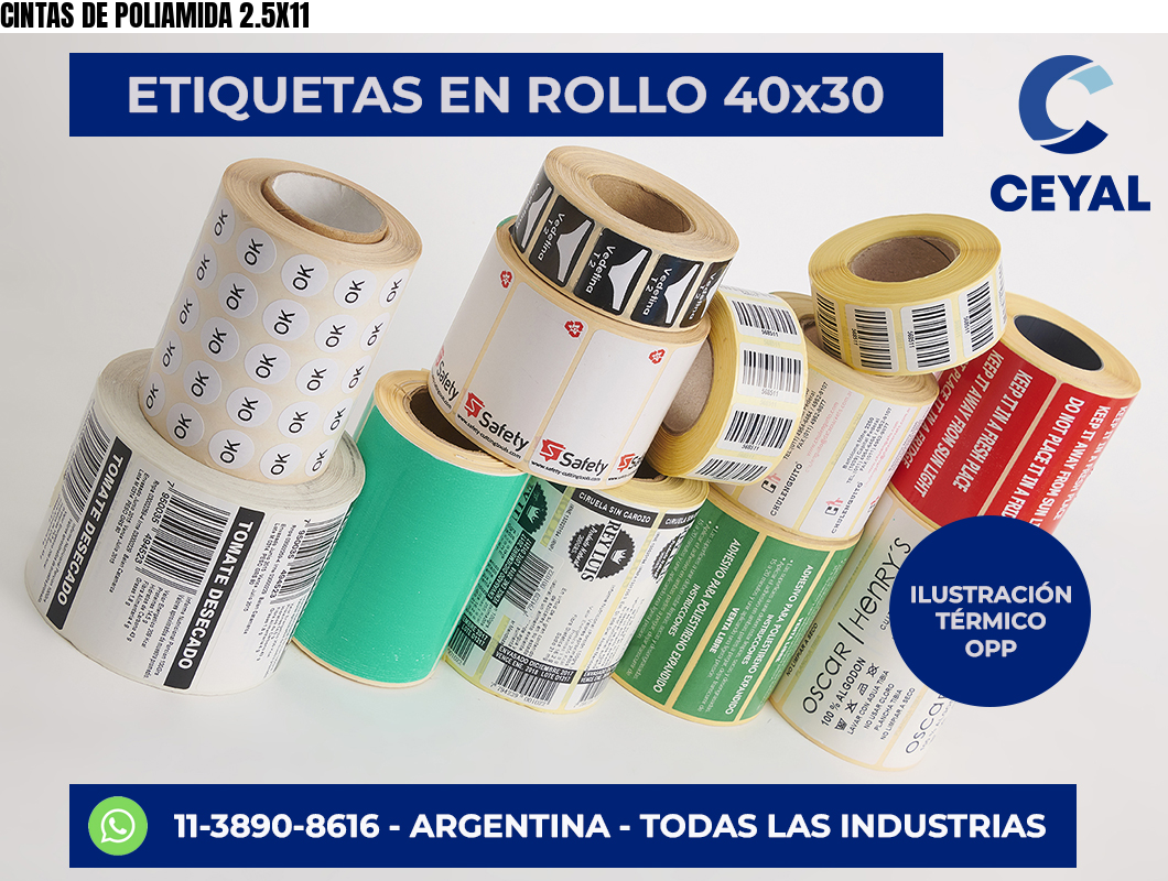 CINTAS DE POLIAMIDA 2.5X11