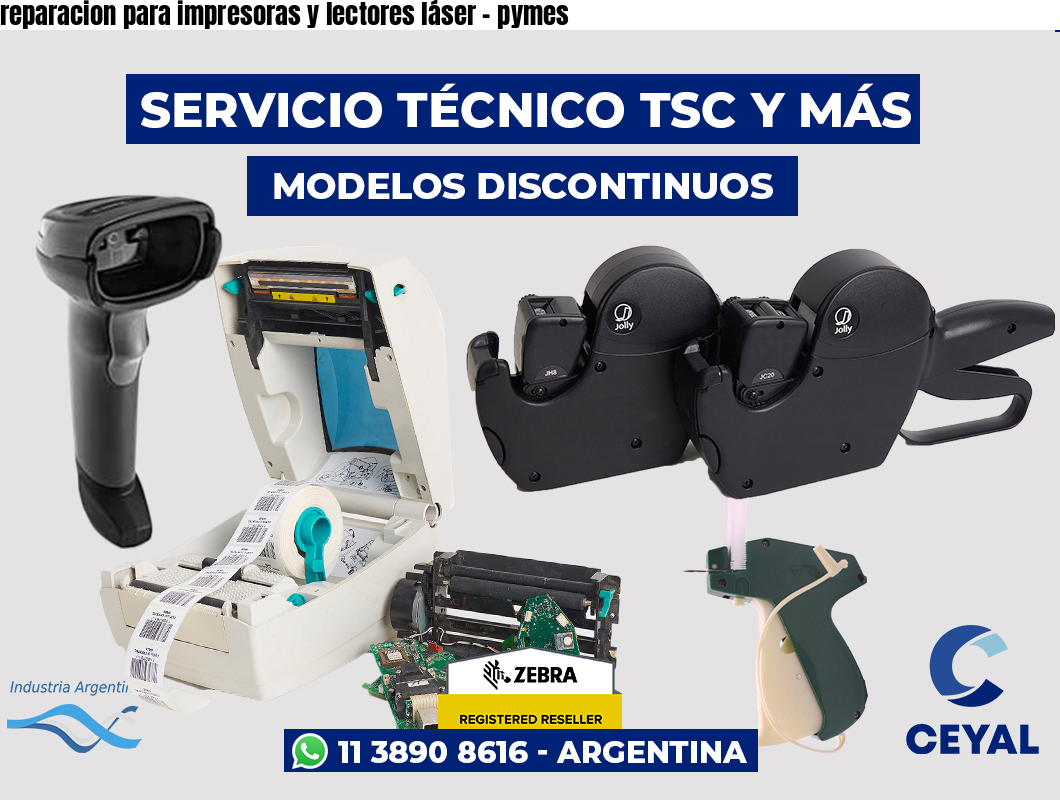 reparacion para impresoras y lectores láser – pymes