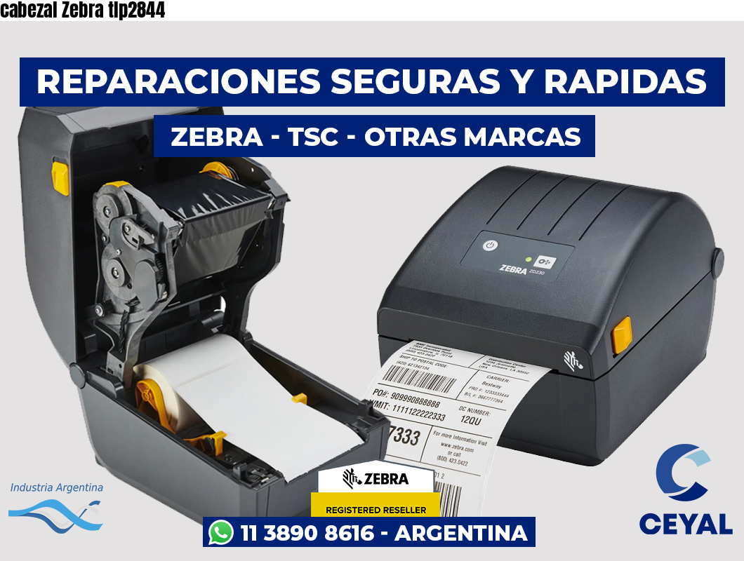 cabezal Zebra tlp2844