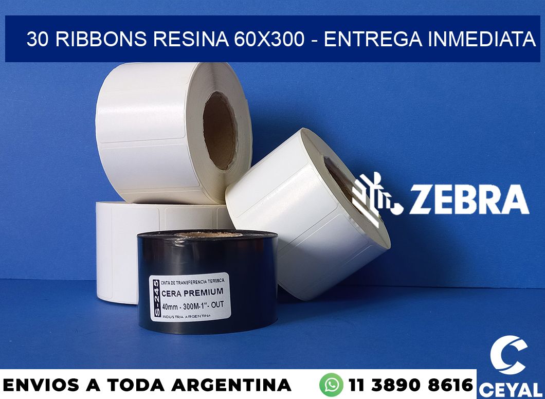 30 Ribbons resina 60x300 - Entrega inmediata