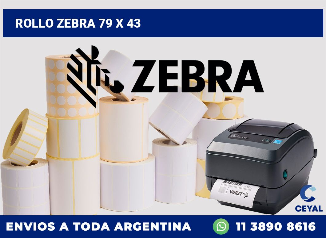 rollo zebra 79 x 43
