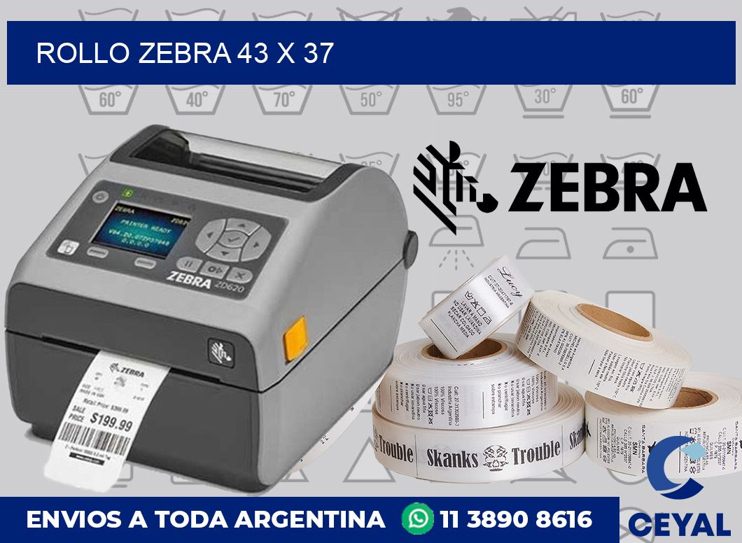 rollo zebra 43 x 37