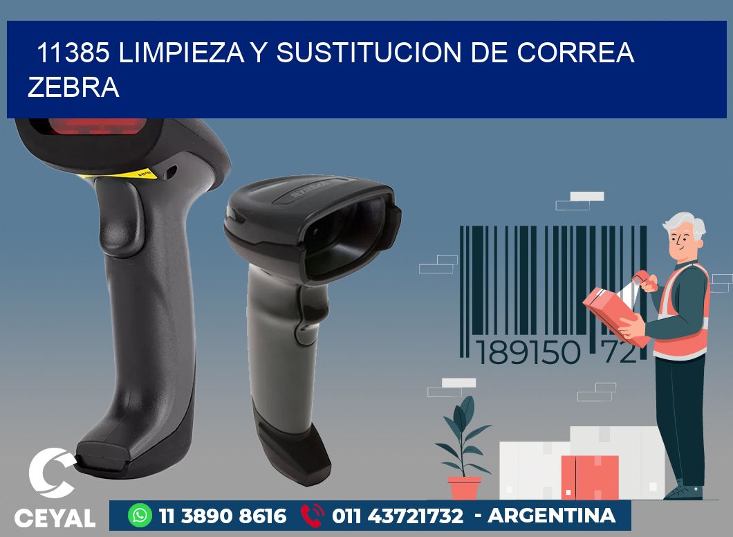 11385 LIMPIEZA Y SUSTITUCION DE CORREA ZEBRA