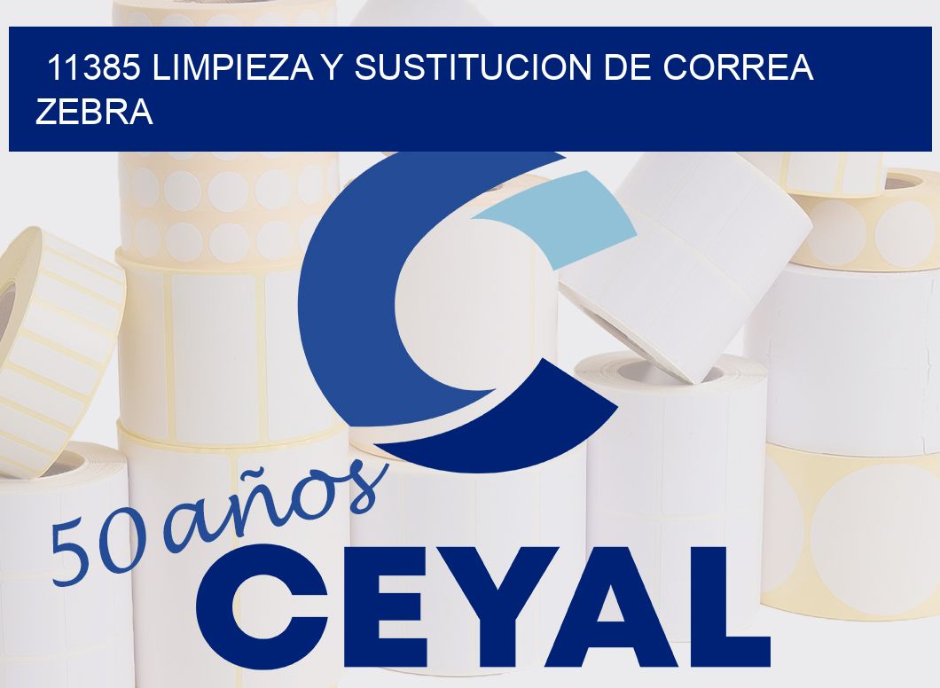 11385 LIMPIEZA Y SUSTITUCION DE CORREA ZEBRA
